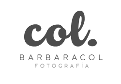Barbara Col Header Logo Brand